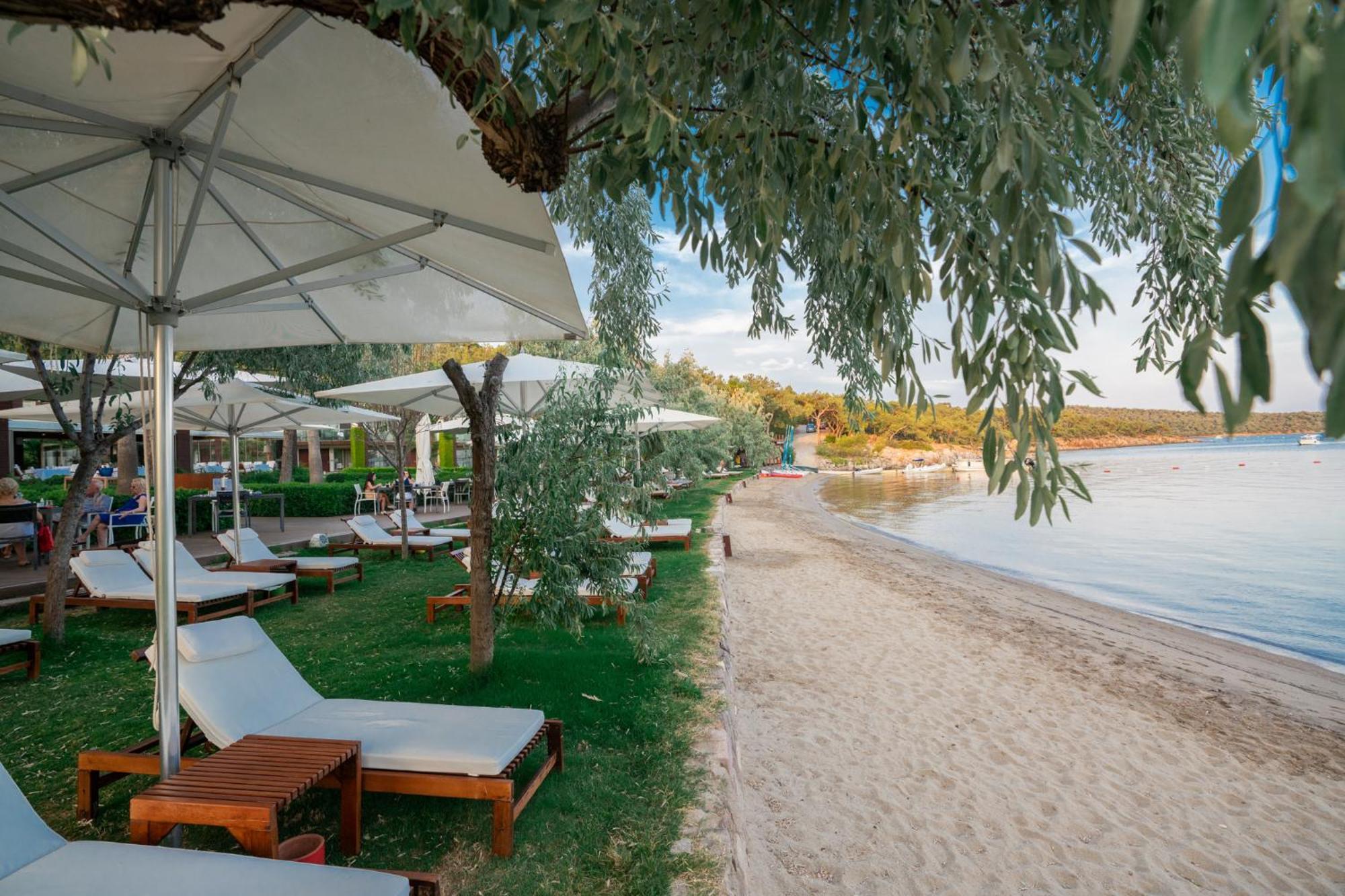 Ortunc Hotel - Cunda Island (Adults Only) Ayvalı Kültér fotó