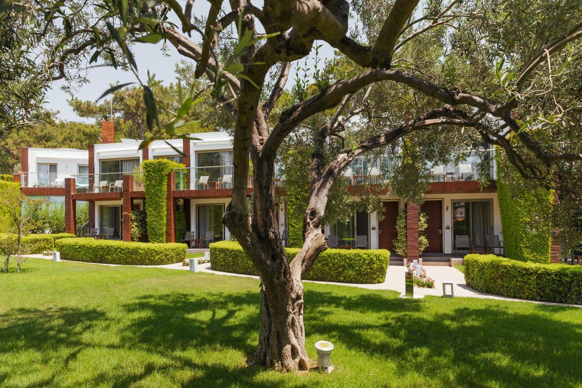 Ortunc Hotel - Cunda Island (Adults Only) Ayvalı Kültér fotó