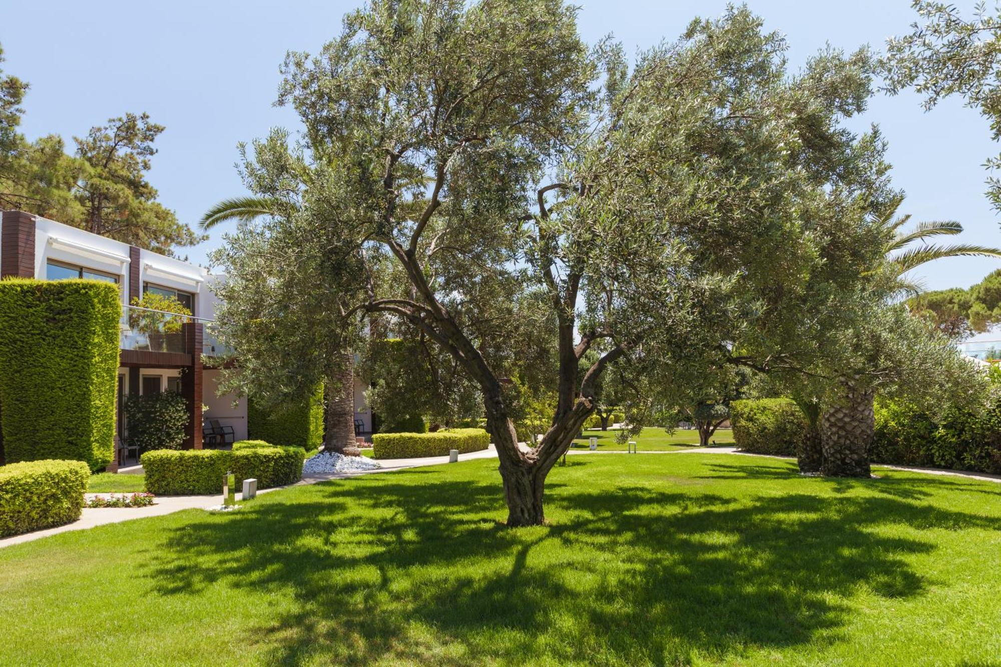 Ortunc Hotel - Cunda Island (Adults Only) Ayvalı Kültér fotó
